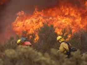 onda de calor provocou incêndios extremos na Europa