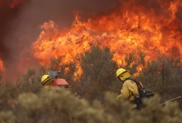 onda de calor provocou incêndios extremos na Europa